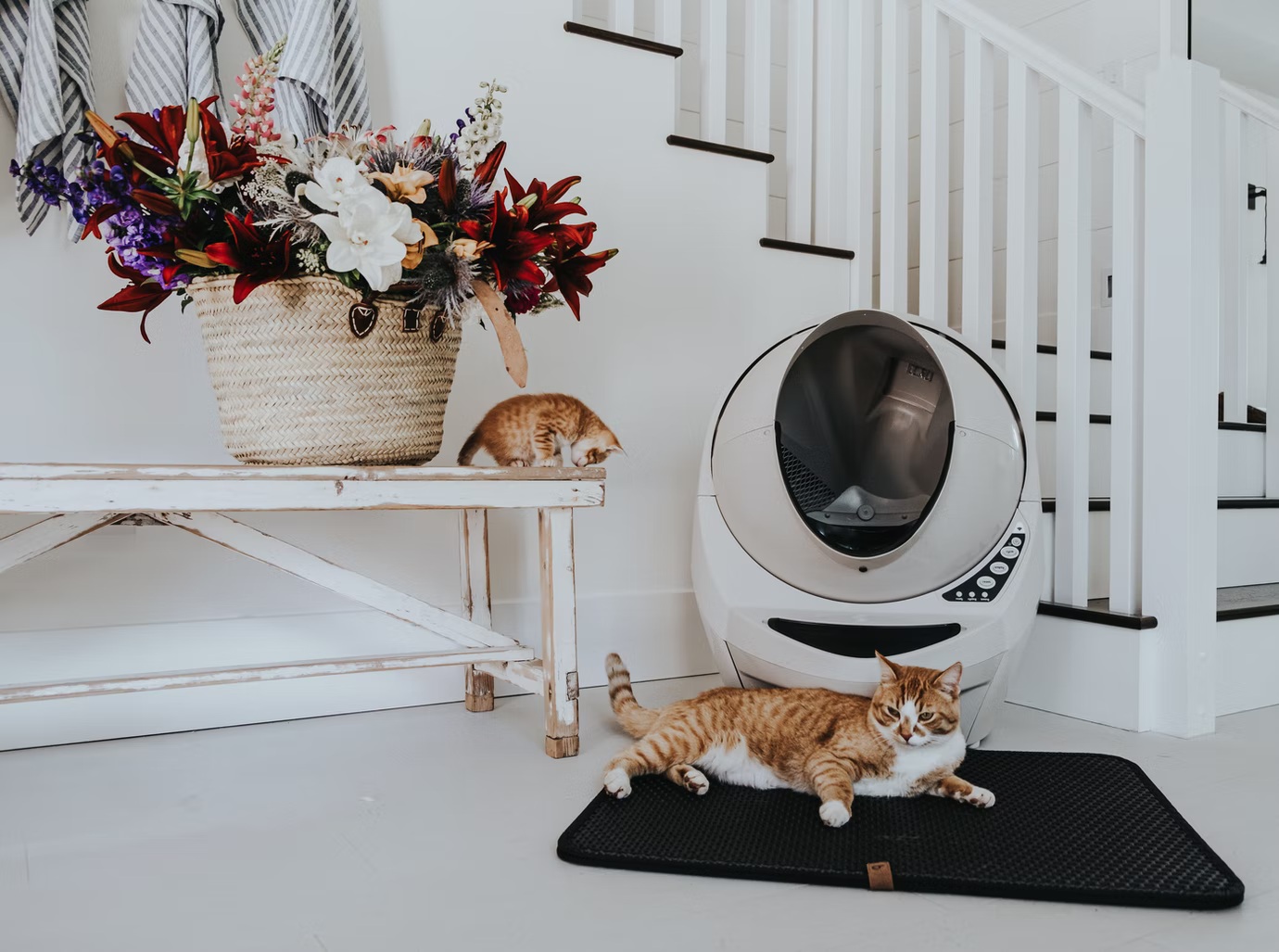 Идеи на тему «Для животных» () | кошачий домик, кошачьи кровати, мебель для кошек