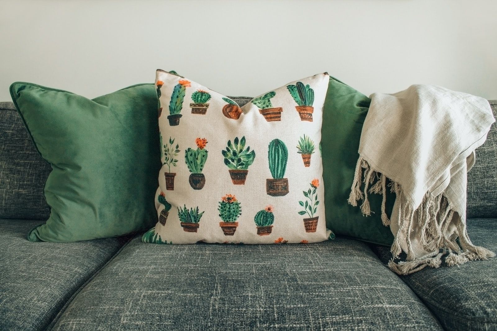2 coussins verts et un avec des motifs cacti sur un canapé vert
