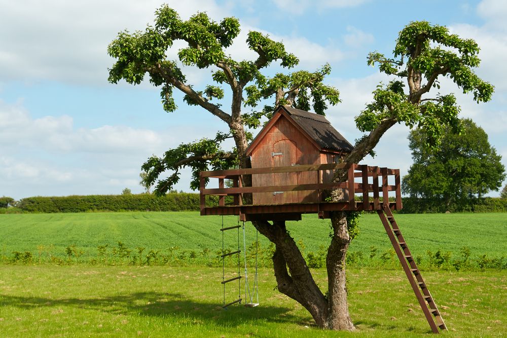 Casa na árvore: o que você precisa saber para construir uma!, Casas
