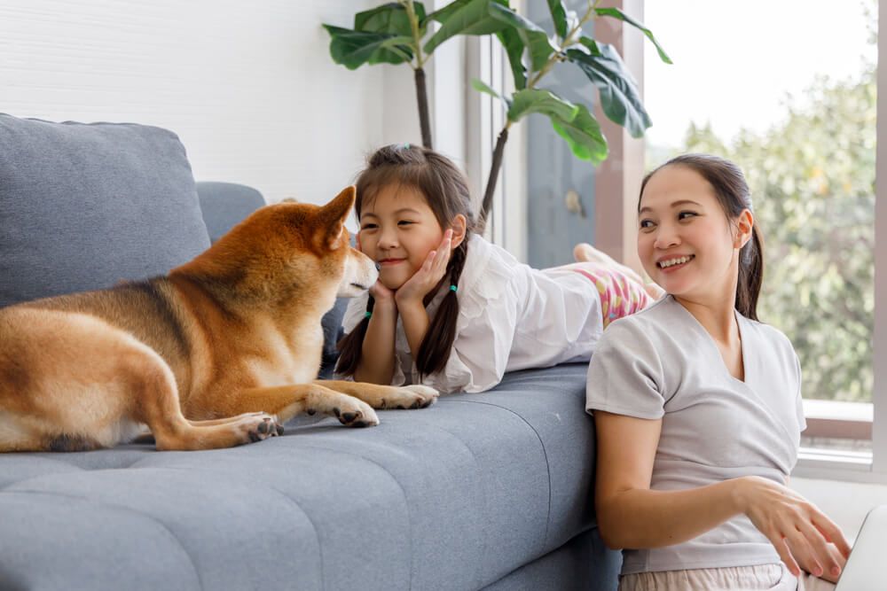 мать, дочь и собака лежат на диване в гостиной с большим цветком