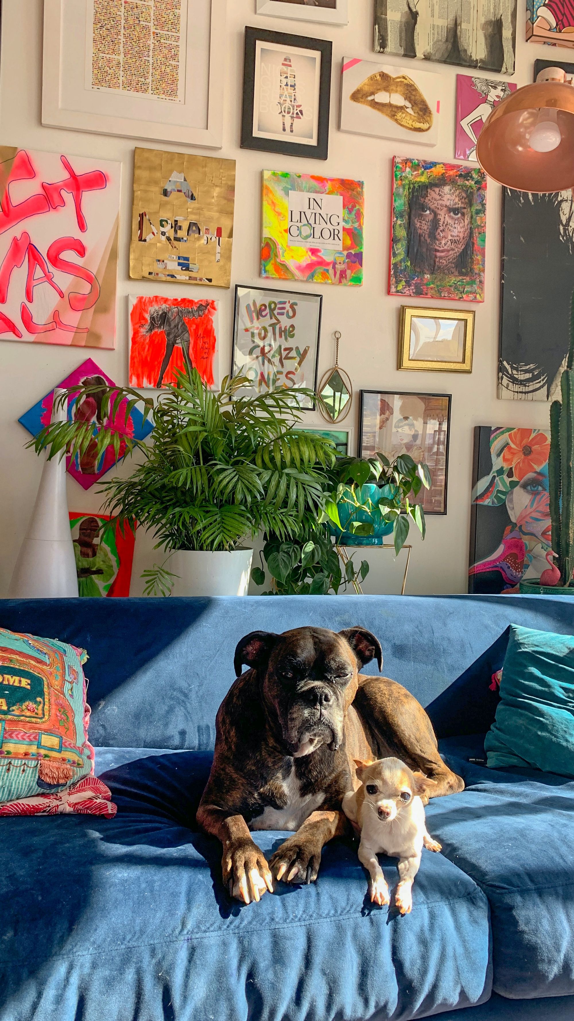 decoración maximalista, pared galería con arte, sofá azul y perritos