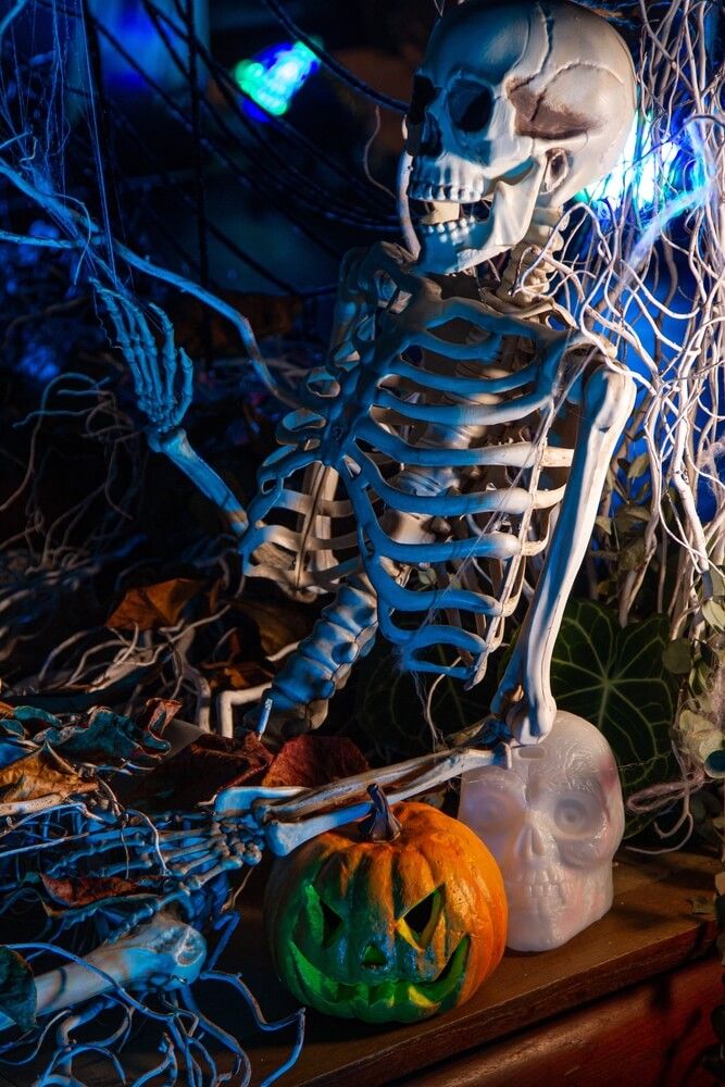 Halloween decorations of fake skeleton and bones