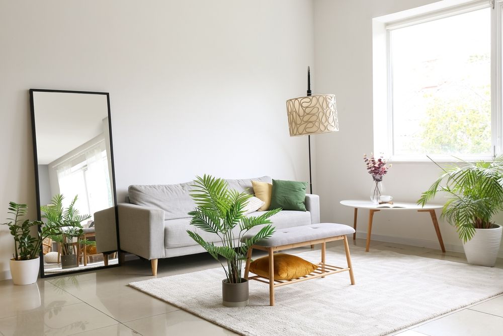 coin salon minimaliste avec un miroir, un canapé gris, des plantes et une lampe sur pied groovy