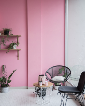 rincón minimalista con pared rosa y sillones grises y plantas 