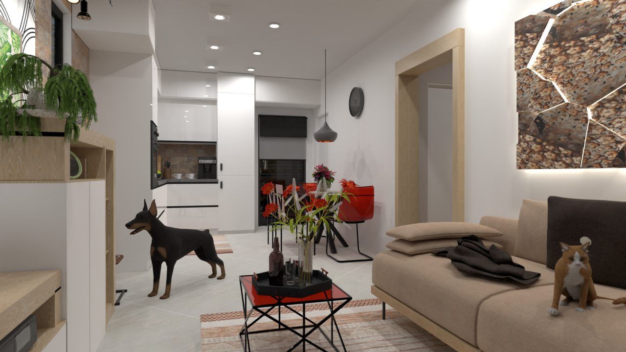 living space with pets