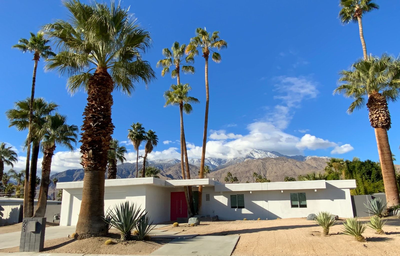 Maison de style moderne mid-century modern  en Californie avec des palmiers et des montagnes en arrière-plan