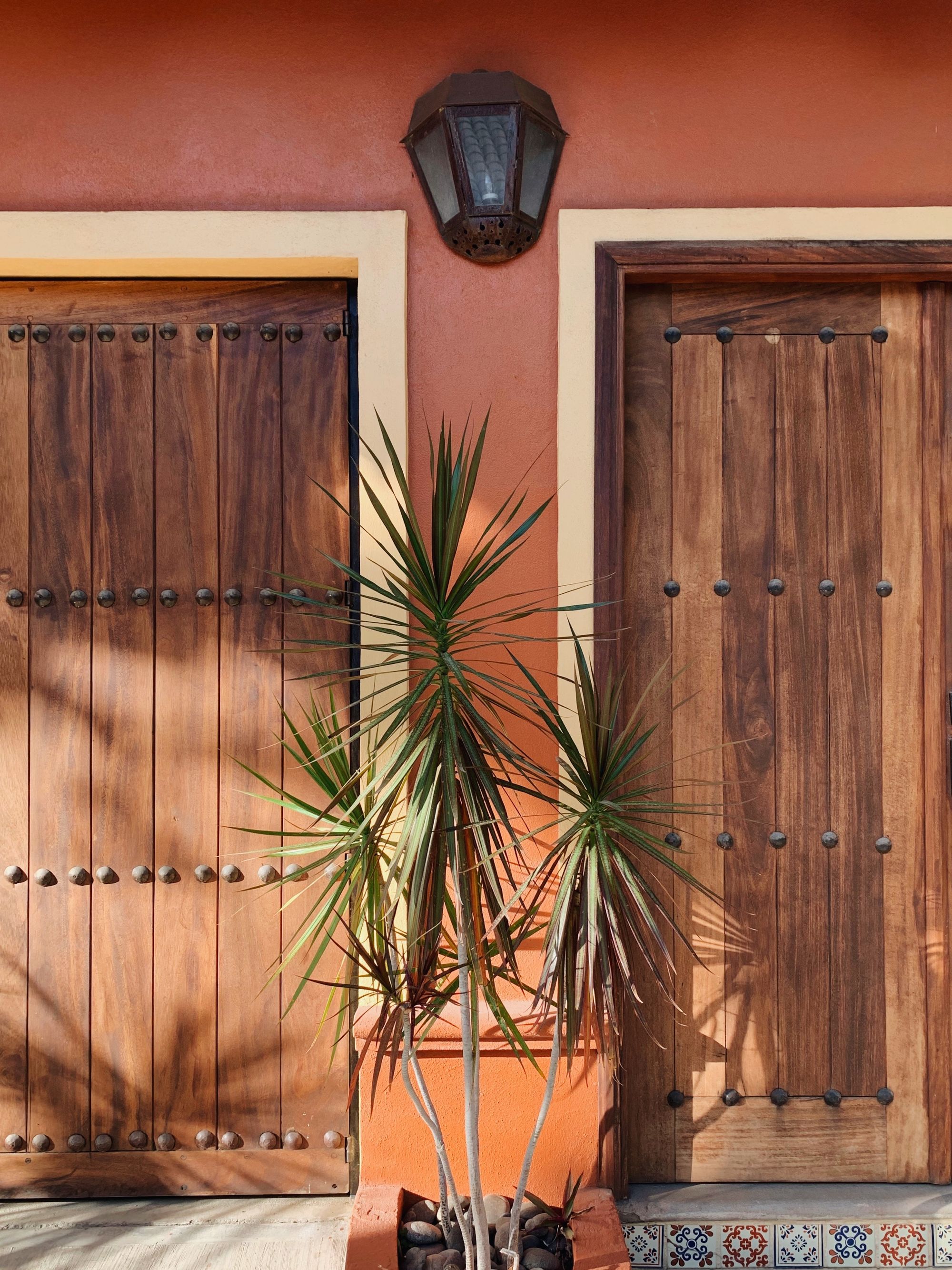 fachada de casa pequeña en mexico con colores tierra, azulejos y plantas