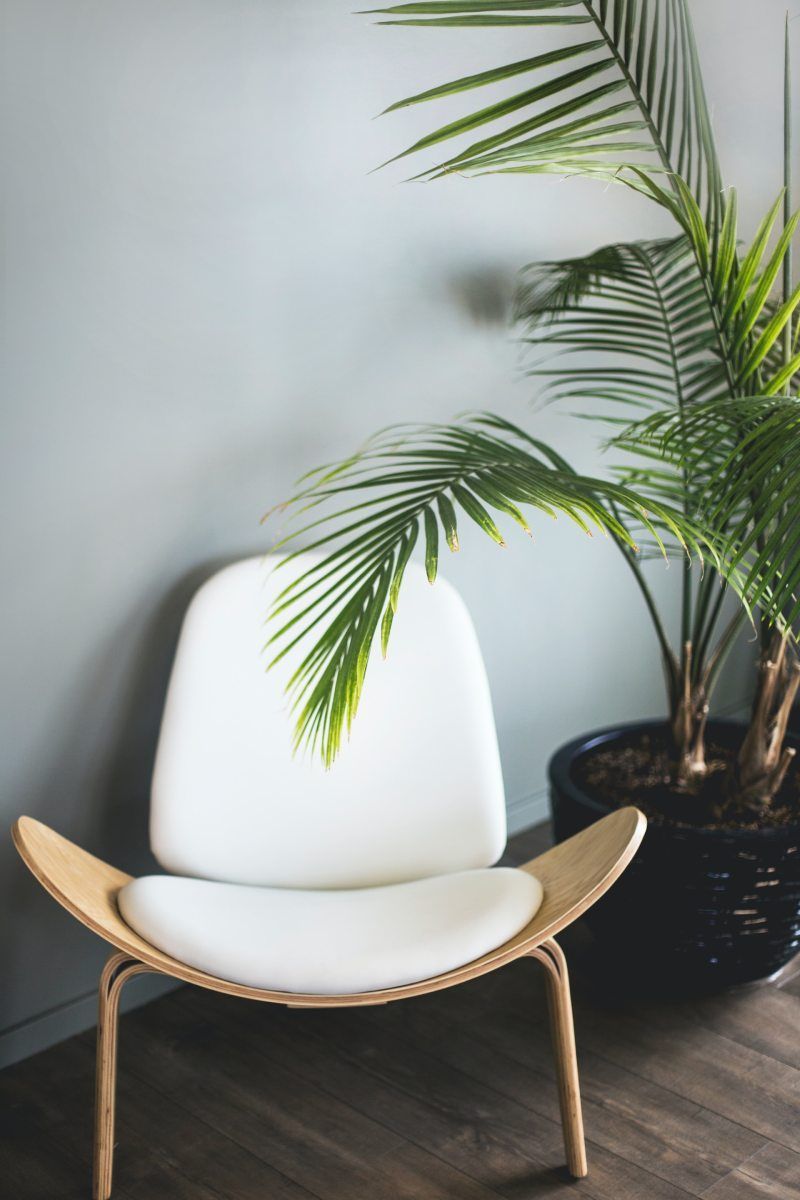 silla y planta: errores de decoración habituales y cómo evitarlos