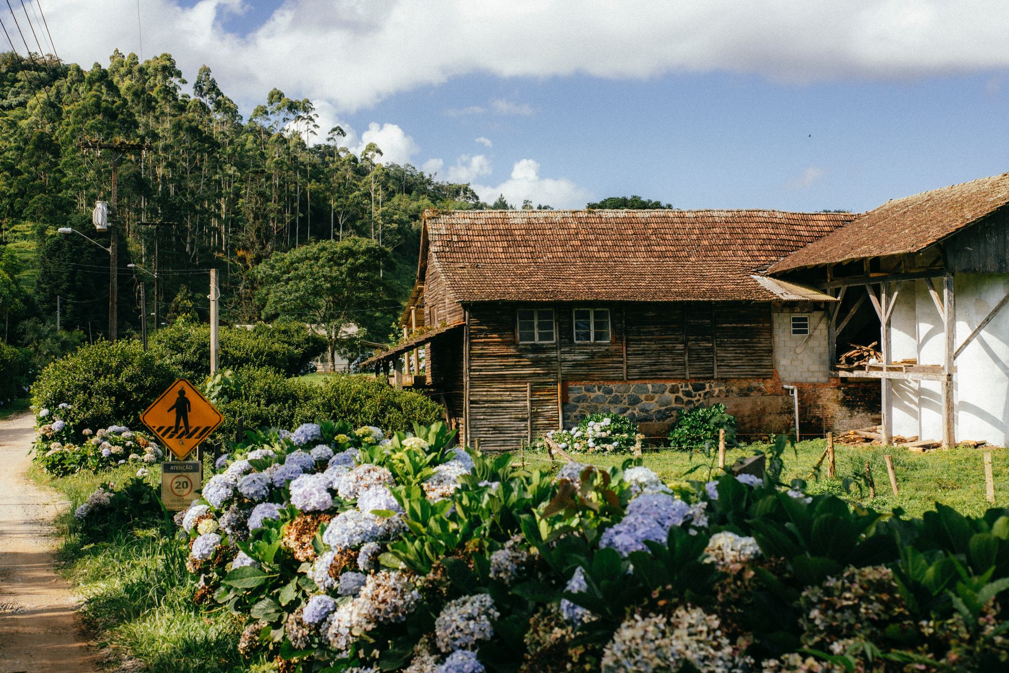 Frente de casa com madeira. Foto: Bruna Fossile no Pexels