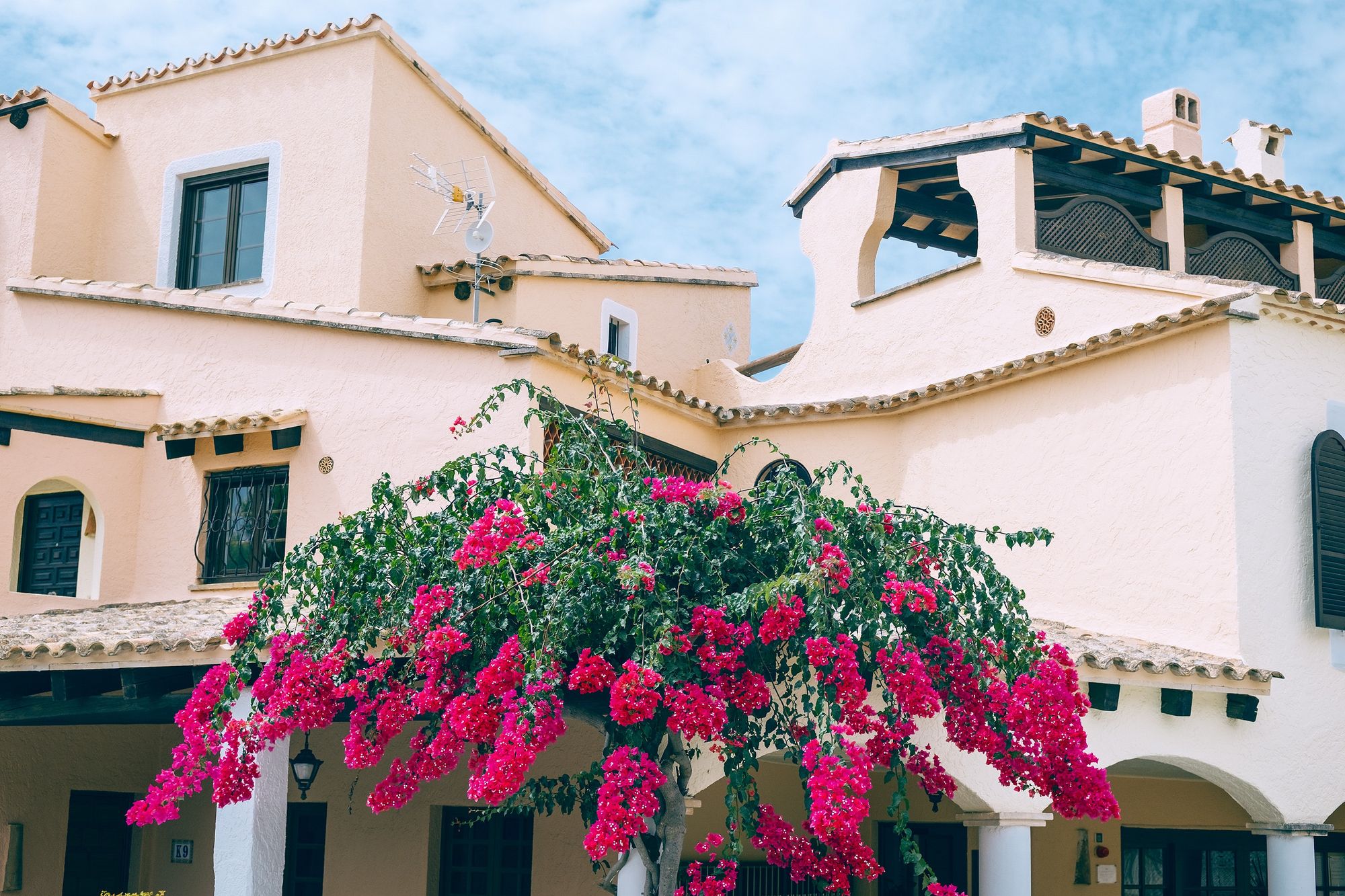 Sobrado com plantas decorando. Foto: Maria Orlova no Pexels