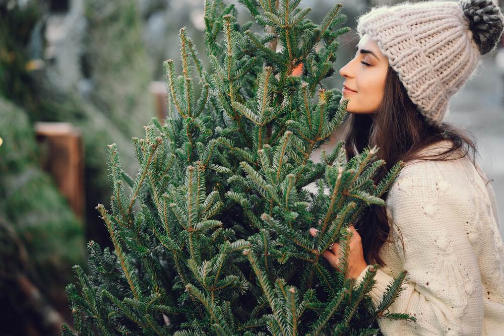 Real vs. Artificial: Picking Your Perfect Christmas Tree