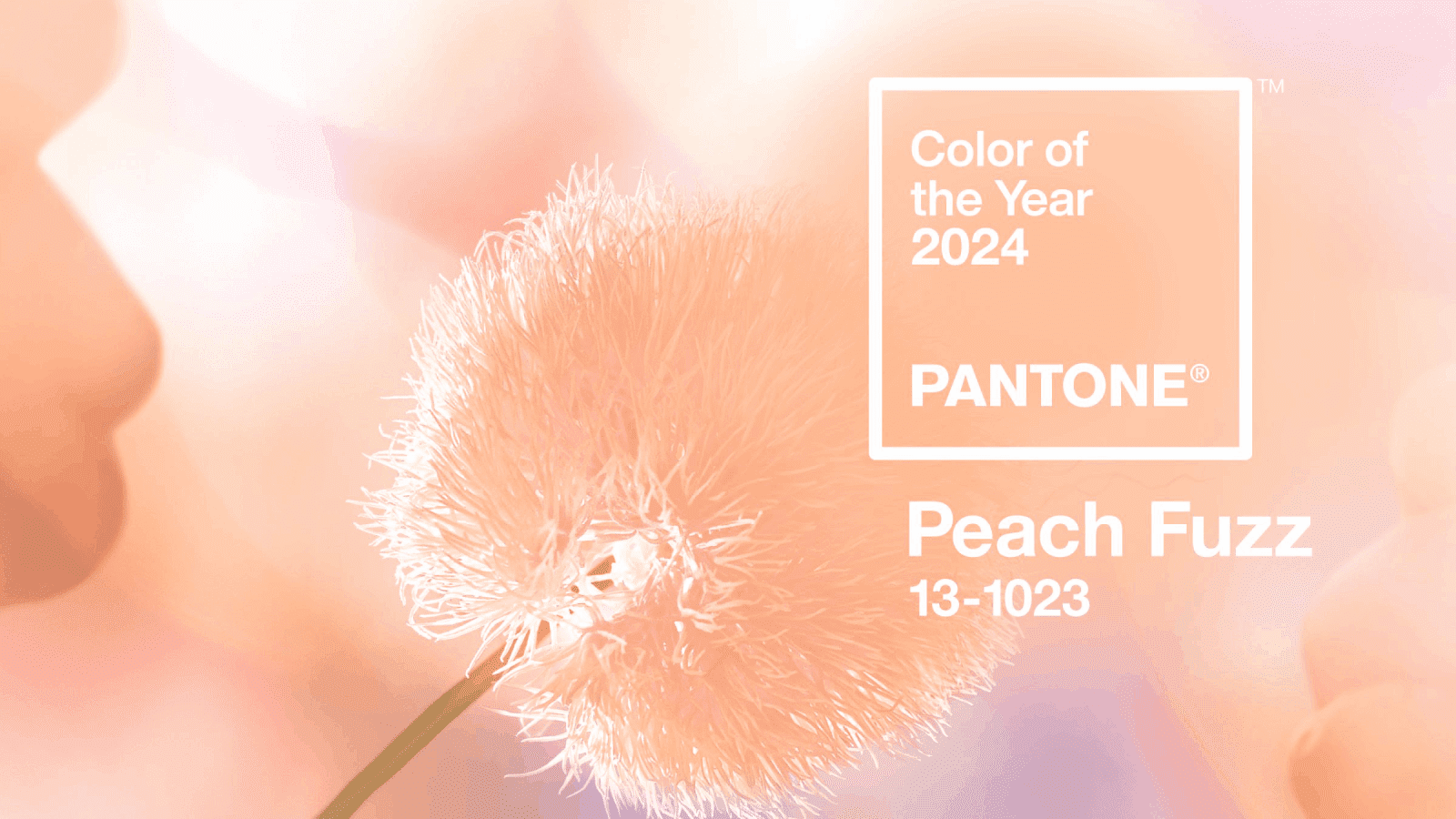 Pantone Peach fuzz: el color del año 2024 es el melocotón