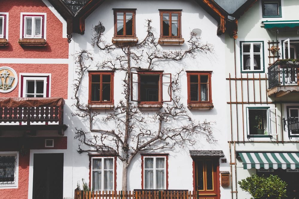 Sobrado com fachada decorada com árvore Foto: Daniel Frank no Pexels