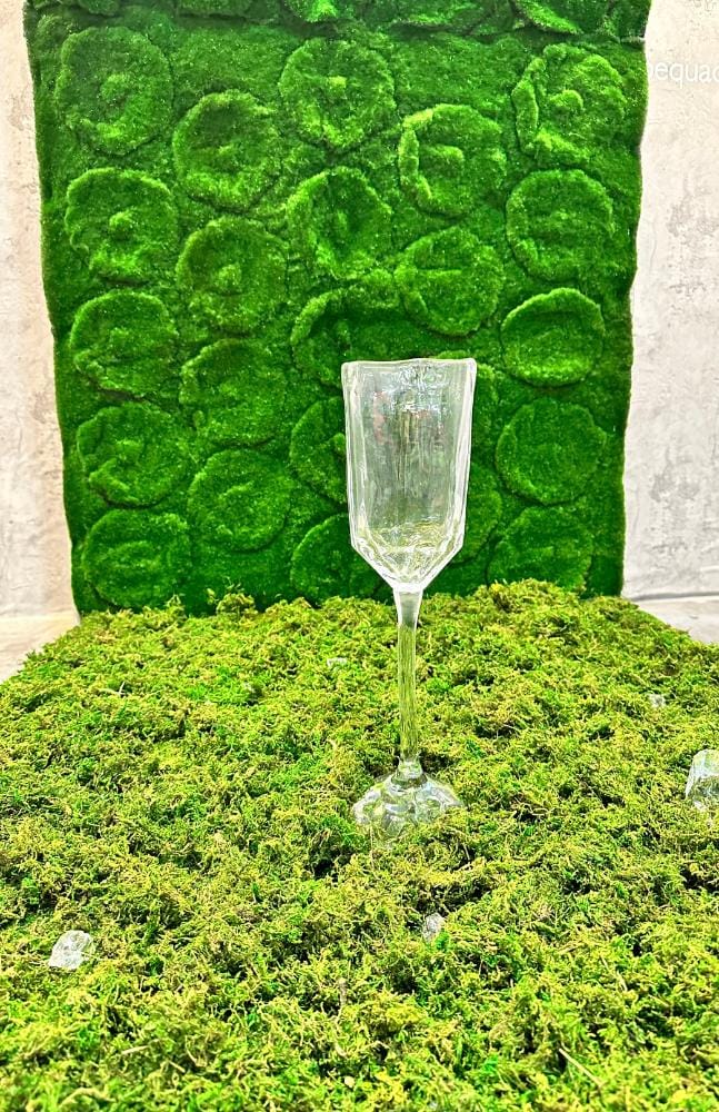 bio glass made from plants