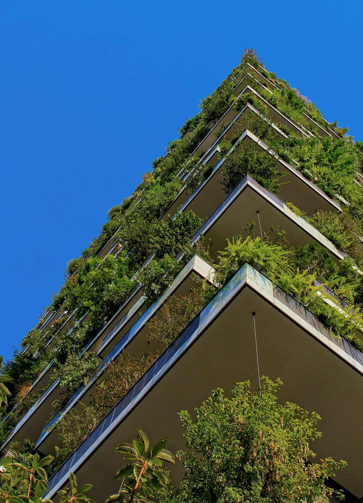 jardín vertical en edificio de la ciudad, jardín urbano