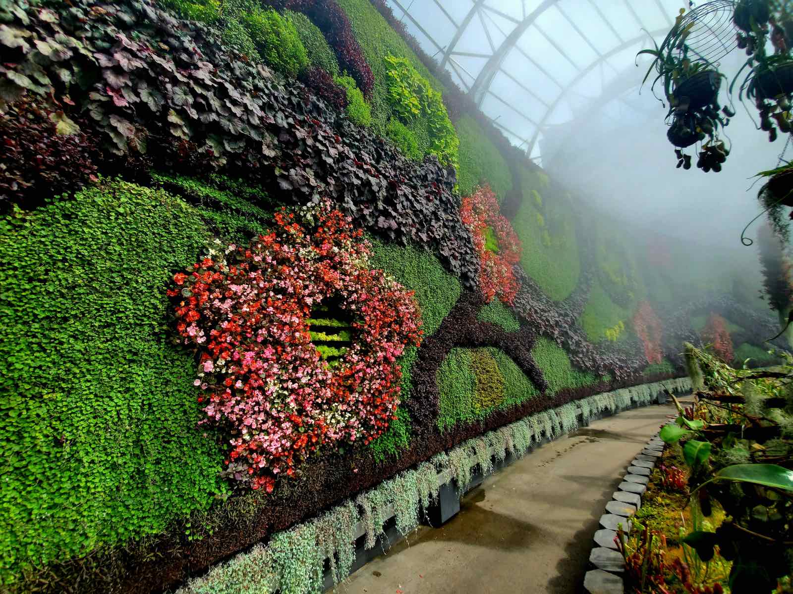 muro verde con plantas colgantes, jardín vertical 