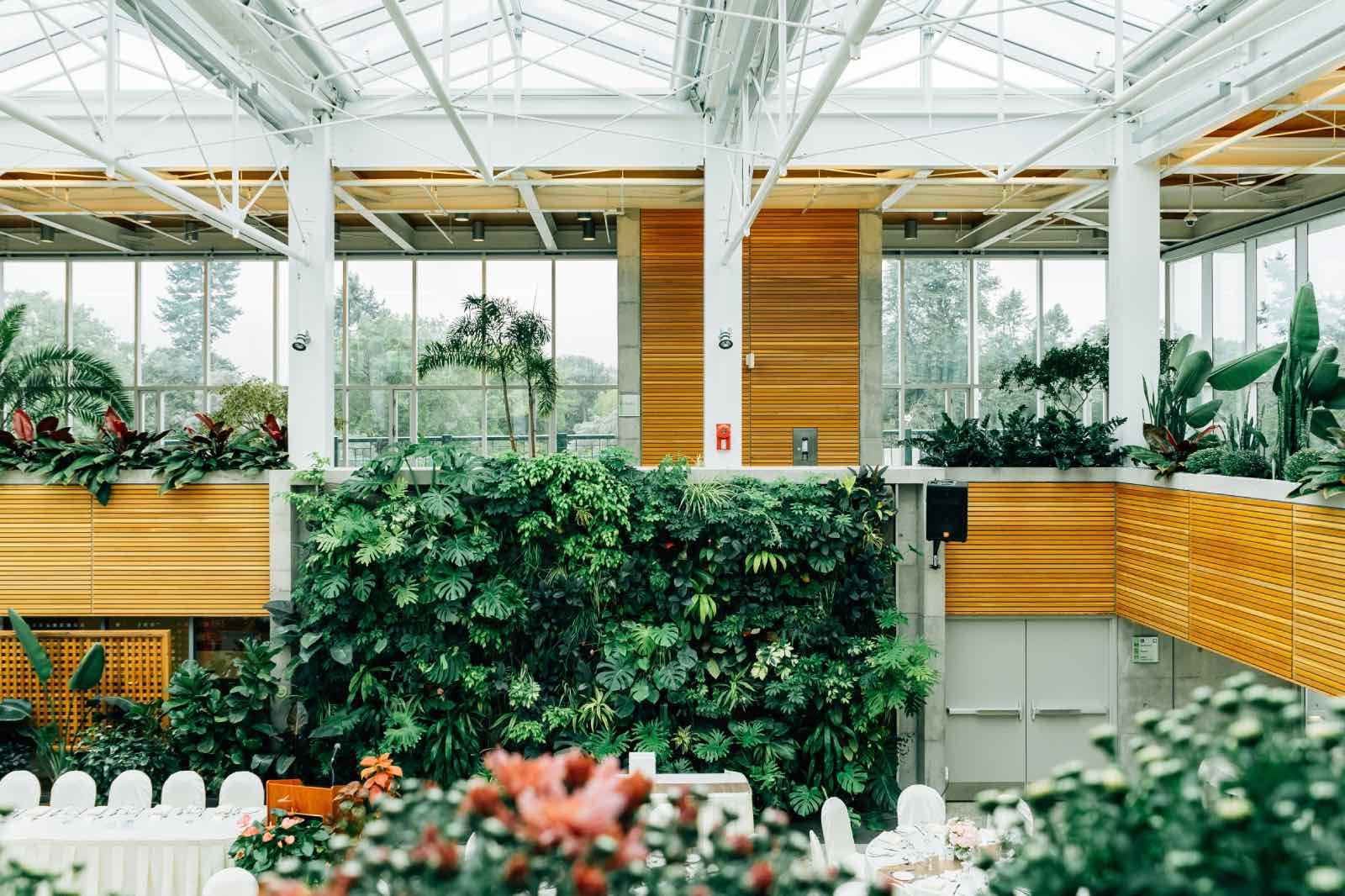 interior con plantas, muro verde, jardín vertical interior