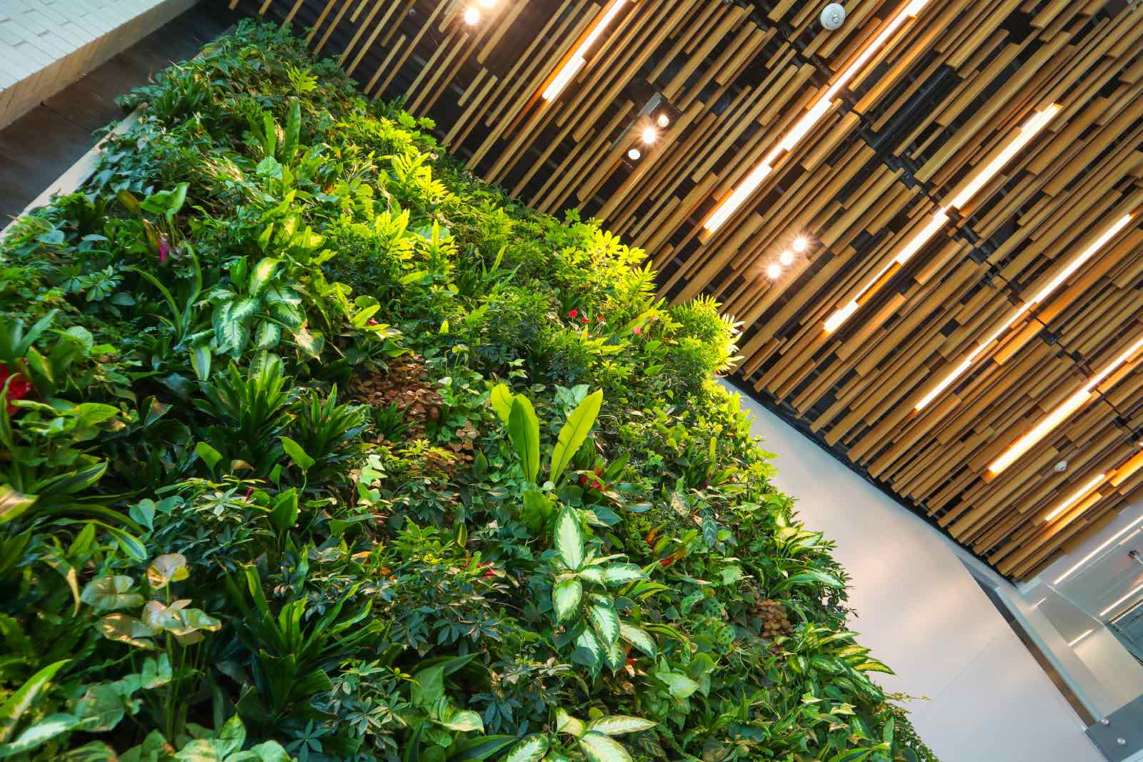 muro verde, jardín vertical interior con plantas 