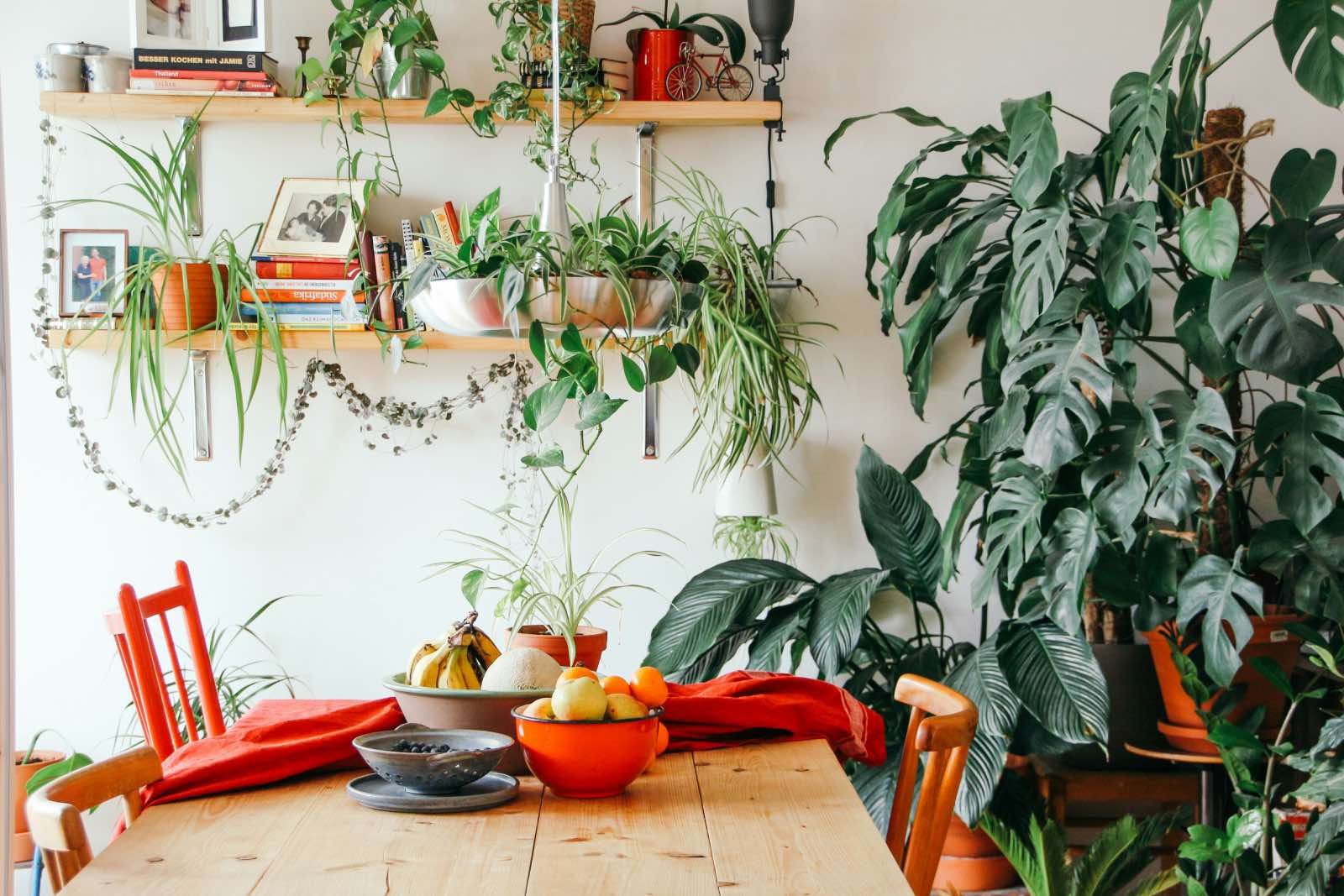 comedor con plantas, jardín urbano en casa
