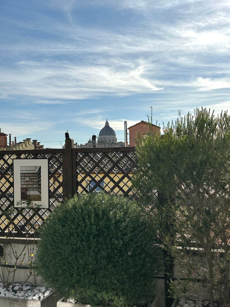 piante in vaso sulla terrazza con la vista di San Pietro