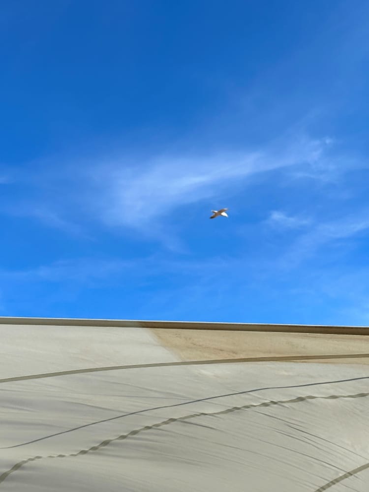 sistema di copertura, come un gazebo o un ombrellone, sulla terrazza