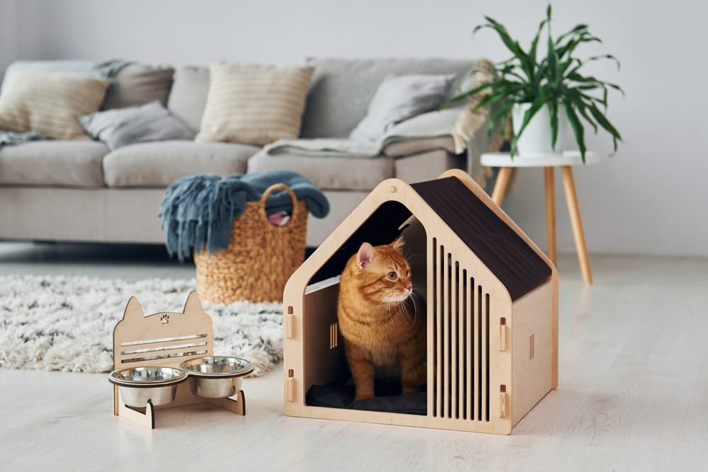 кошка в своем деревянном домике с миской