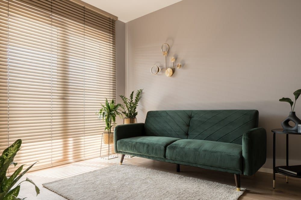 Green couch with a beige wall and vertical blinds