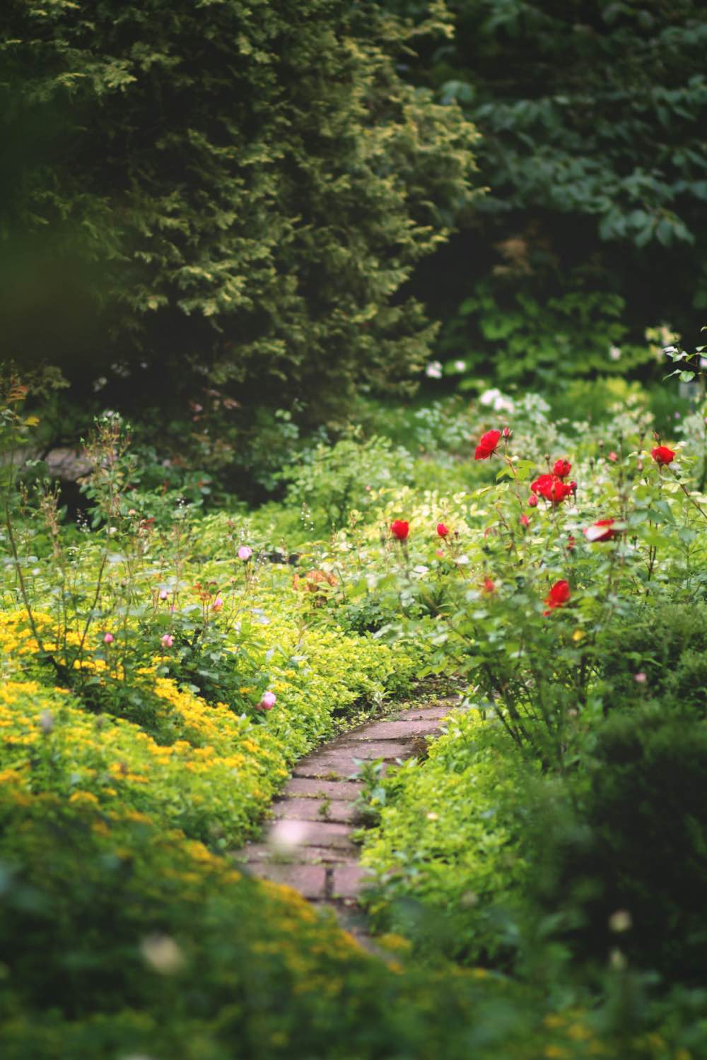 diseño de jardín inglés, paseo de piedra en jardín con flores