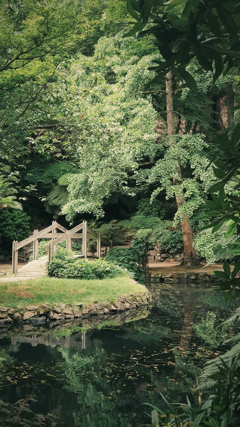 jardín inglés con estanque y puente, diseño de jardines