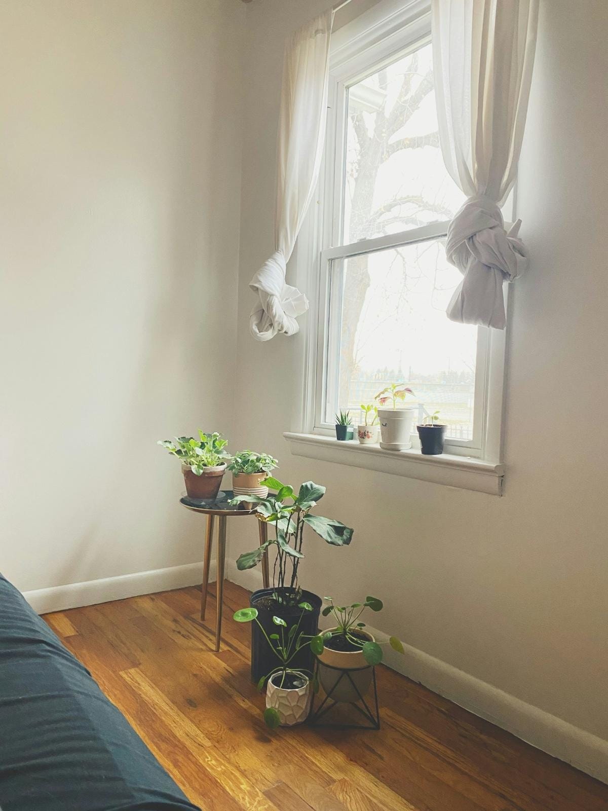 zugezogene Vorhänge und Pflanzen in einem Fenster
