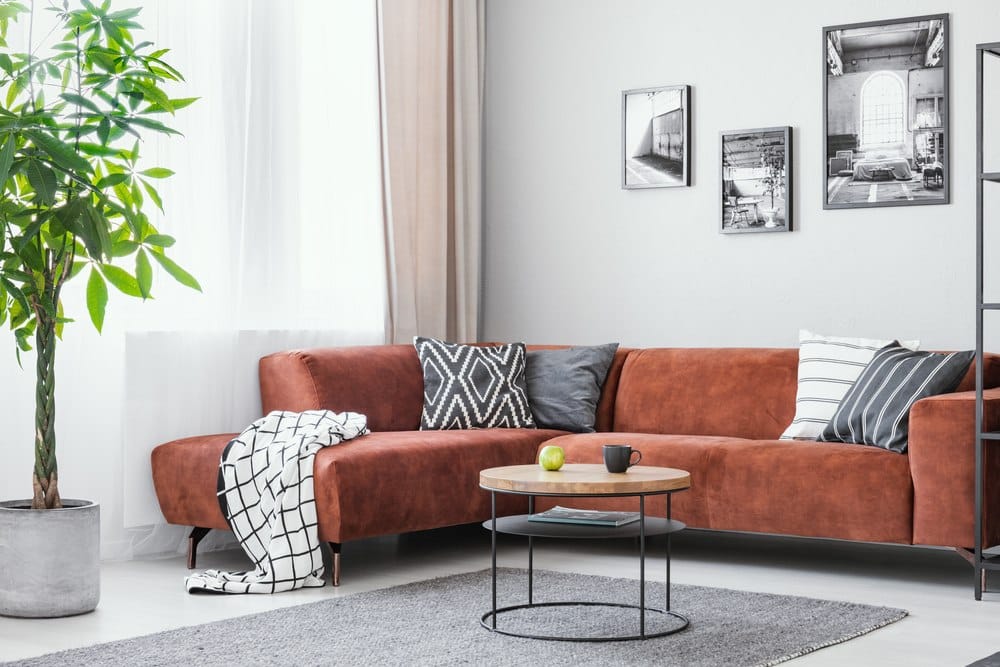 L-shaped orange couch in a light gray living room with hanging pictures