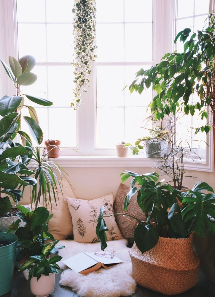 un coin lecture avec un tapis en peau de mouton et un livre, entouré de plantes