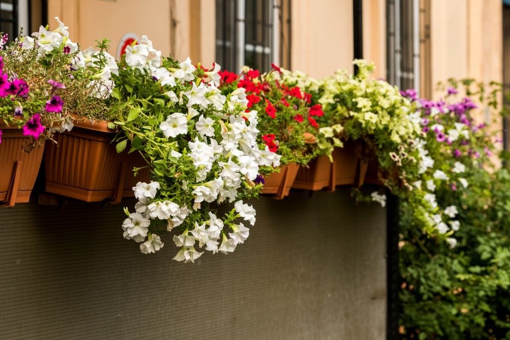 Blumenkästen auf einem Balkon