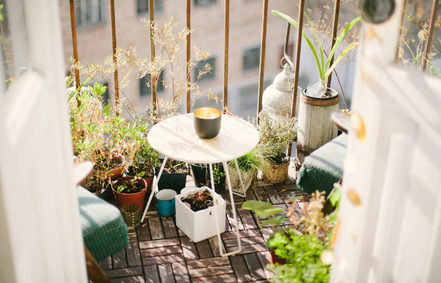 coin balcon avec plantes