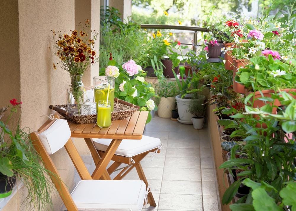 coin balcon avec plantes et une table basse
