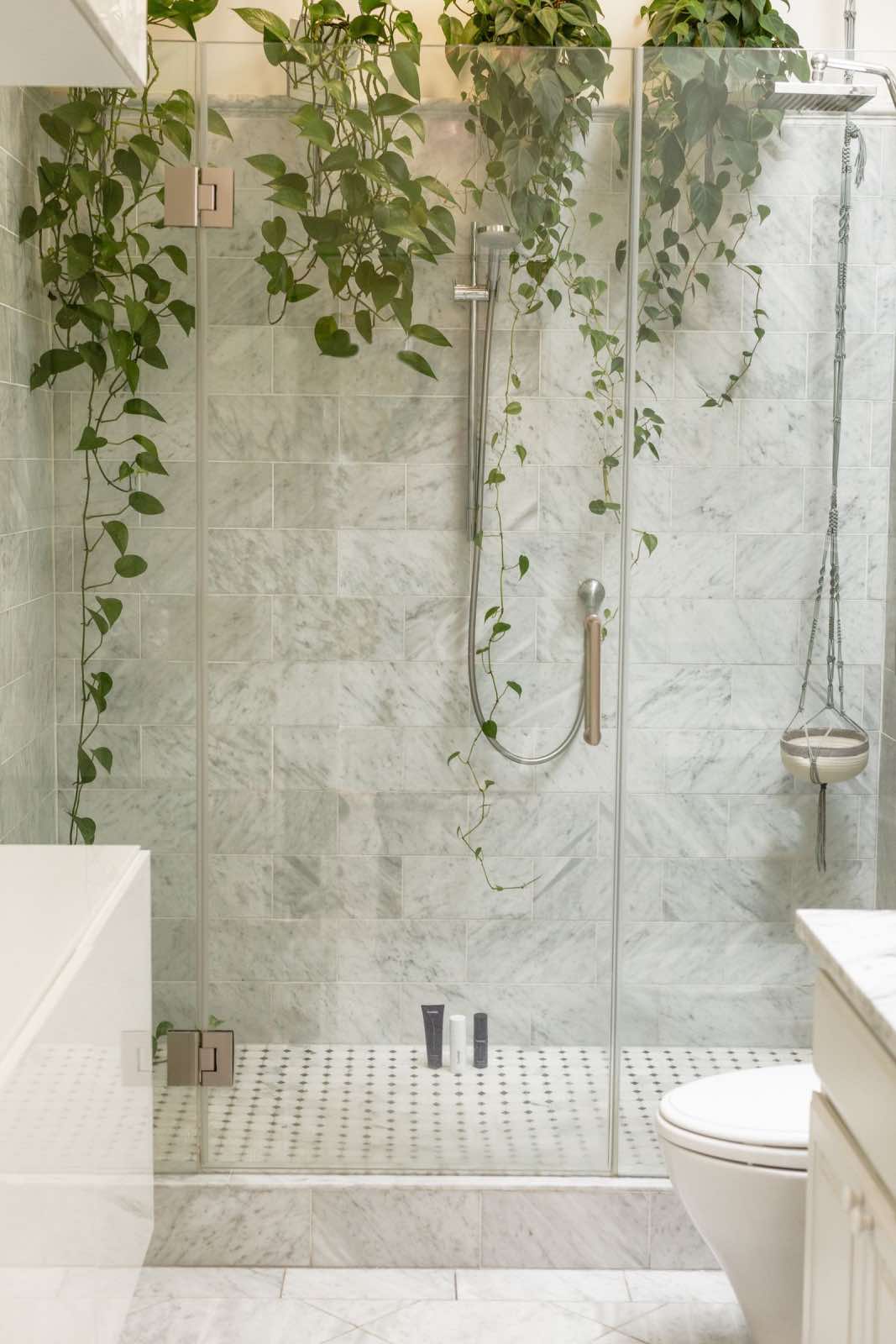 cuarto de baño con plantas exuberantes y frondosas, plantas saludables en casa