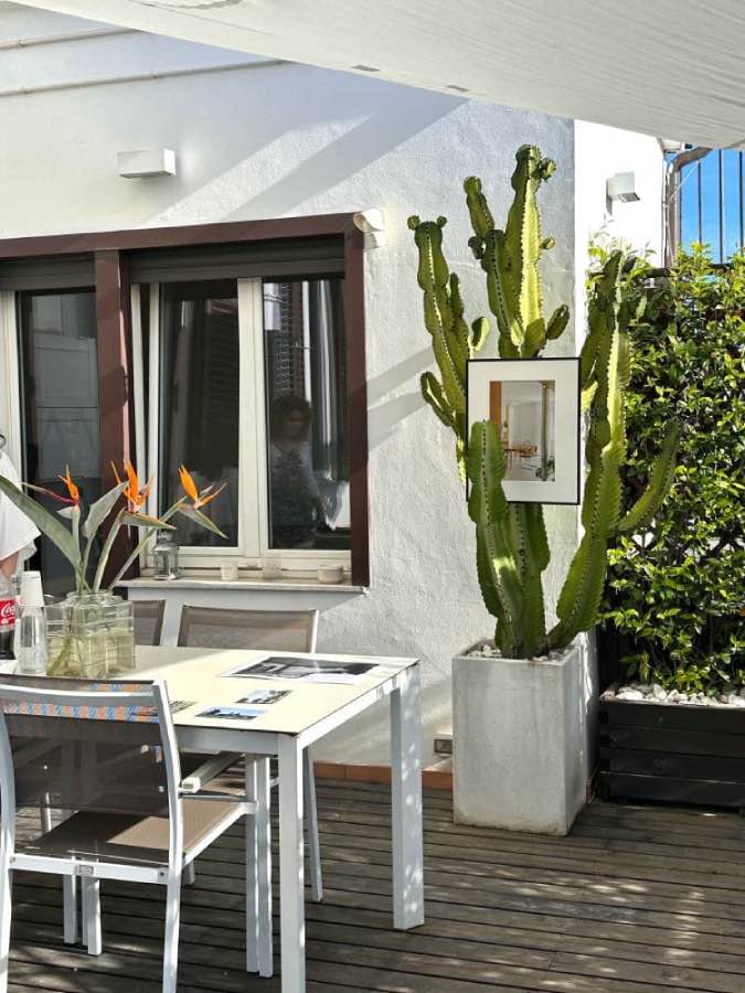 terraza de diseño en roma con comedor y cactus