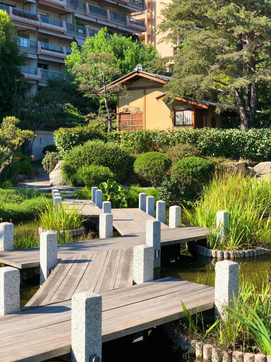 jardín japonés cuidado con estanque y puentes de madera
