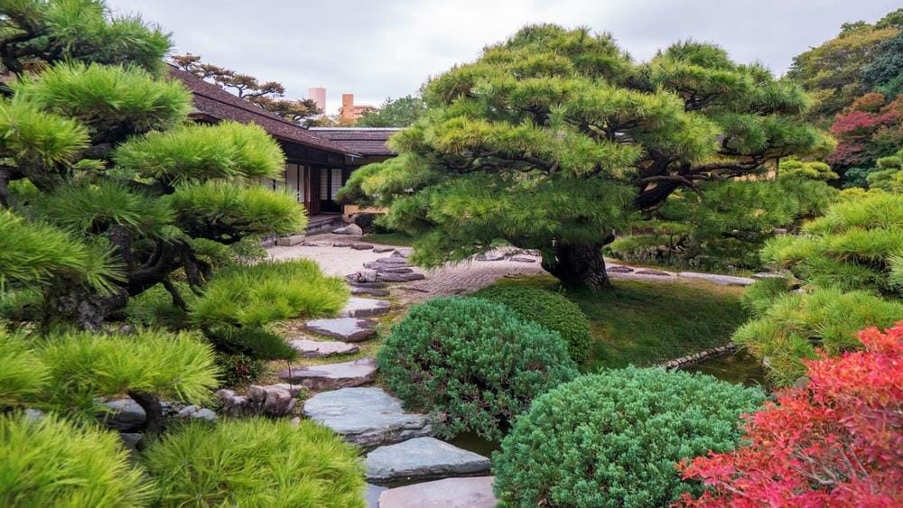 japanischer Garten mit einer Allee aus japanischen Schritten und Bäumen