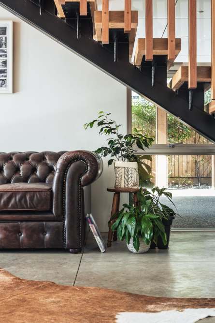 sofá de couro e planta em casa rústica moderna
