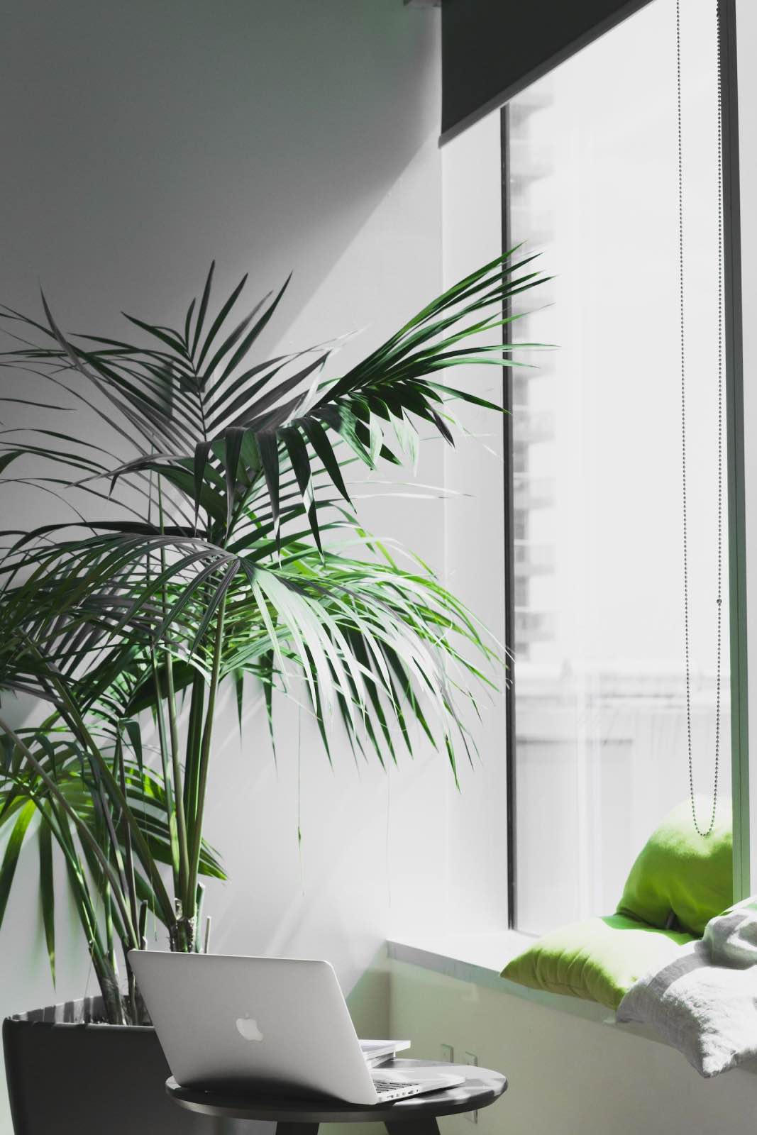 interior de diseño sostenible con planta