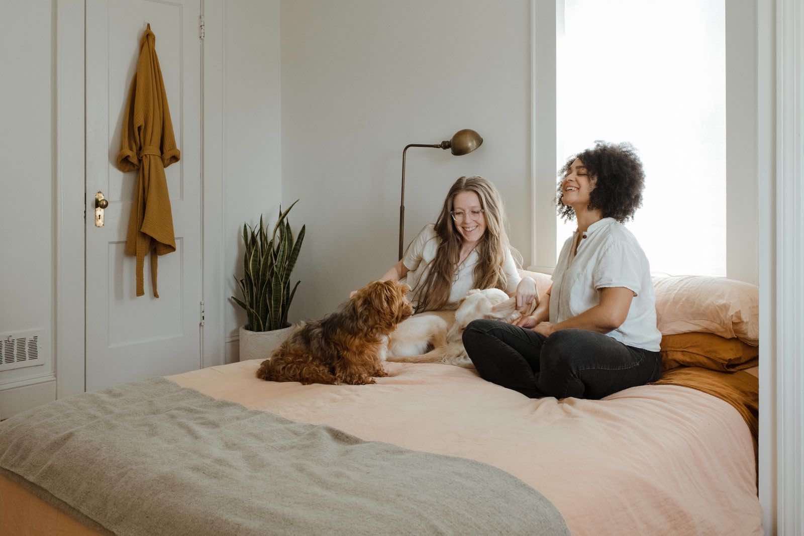 pareja feliz con perros en dormitorio de diseño sostenible