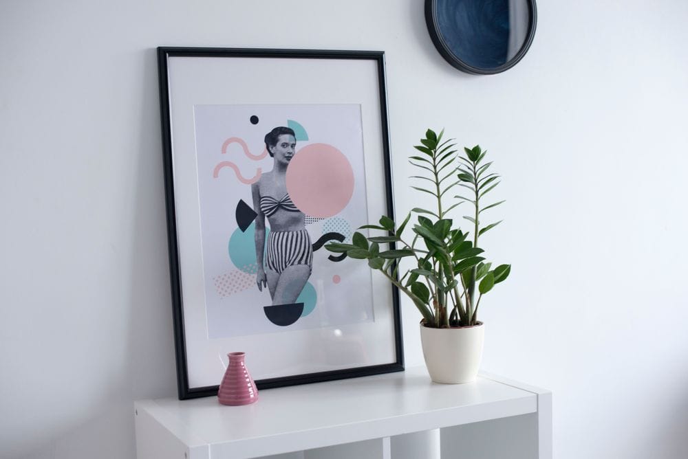 quadro e plantas decorando o interior de casa