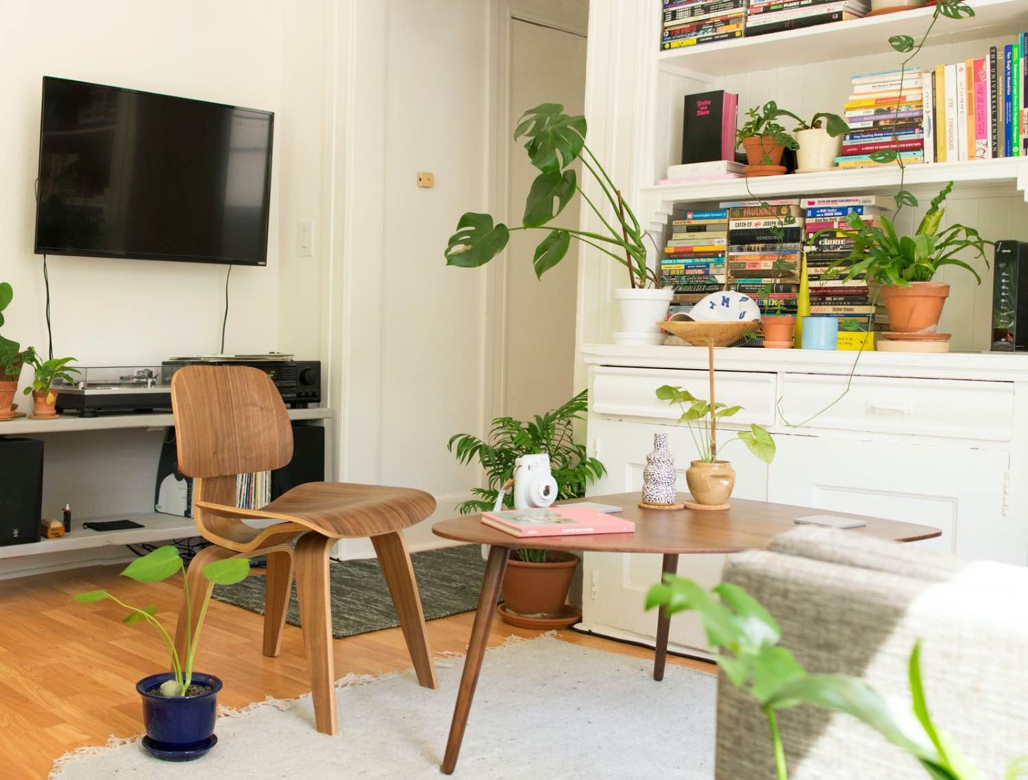 Sala de estar de diseño multifuncional con televisor y plantas