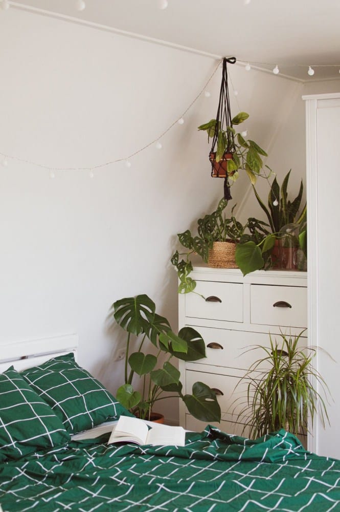 decoração de quarto com plantas suspensas
