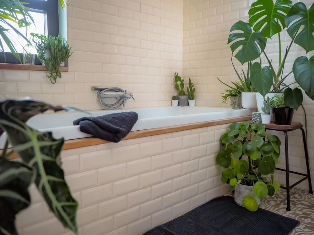 Banheiro decorado com plantas