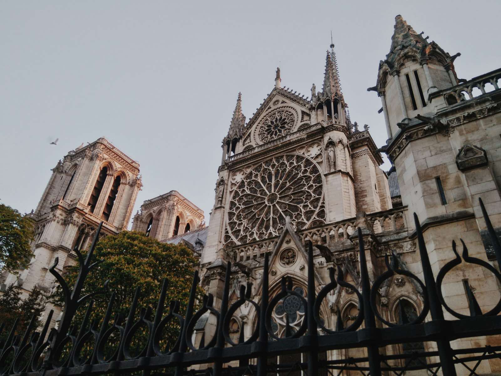 arquitectura gotica, catedral, notre dame de parís