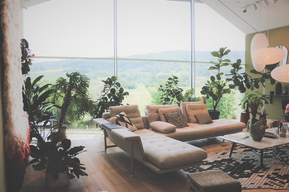 interior de sala de estar decorado com plantas e móveis estilo mid century