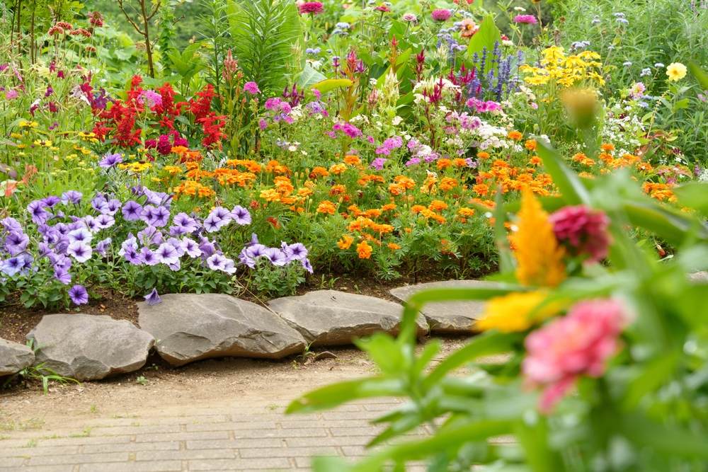 Canteiros de flores como recurso de paisagismo