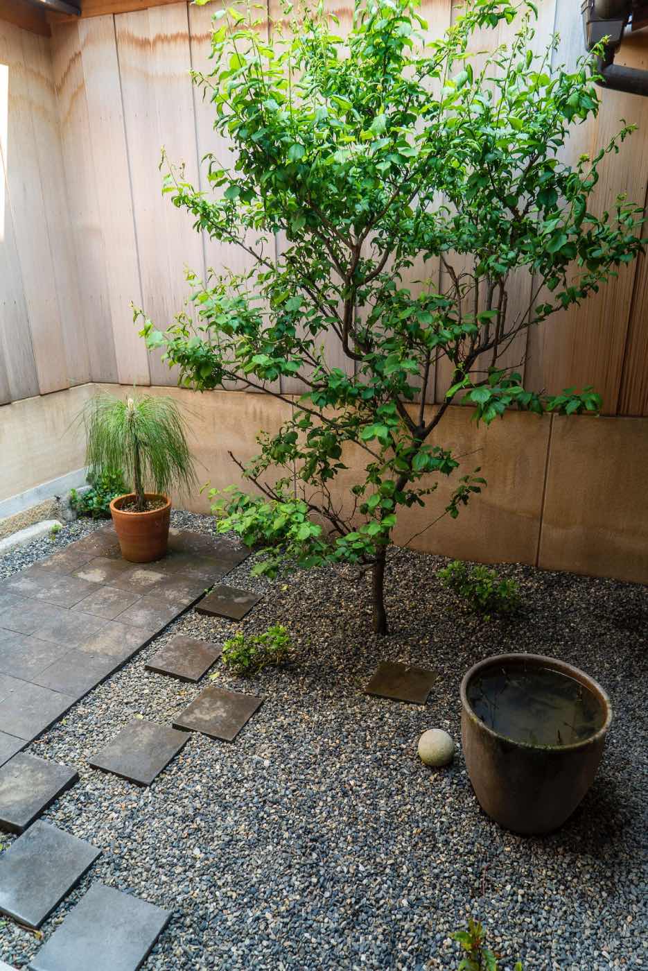 Small garden design with stone flooring and potted plants